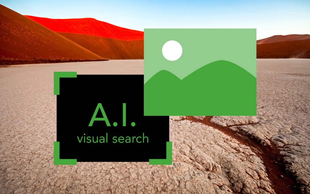 AI/Viz-search